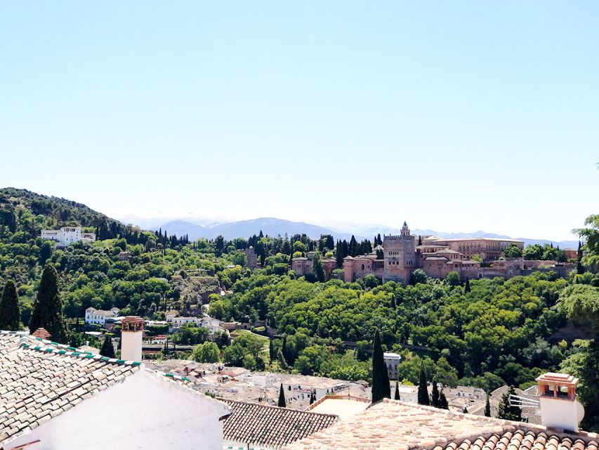From Costa del Sol: Granada Day Trip Free Time 5h - What is included, what is not, and how to avoid surprise costs