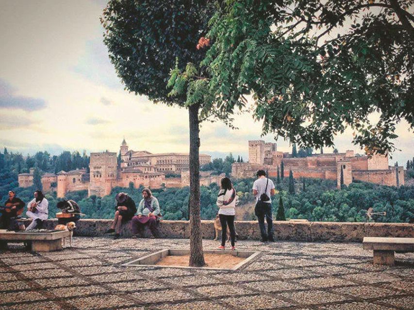 From Costa del Sol: Granada Day Trip Free Time 5h - Comfort on the bus: what to expect and how to make it easier