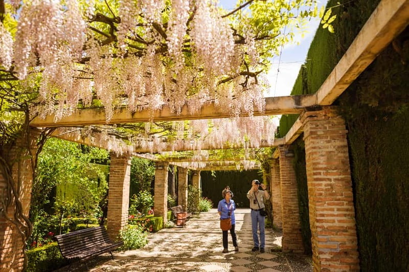 From Costa del Sol: Granada Full-Day Tour - Quick take: what you will notice right away