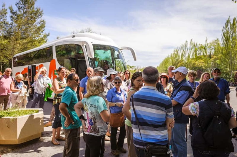 From Costa del Sol: Granada Full-Day Tour - From Costa del Sol to Granada: what the day trip really looks like