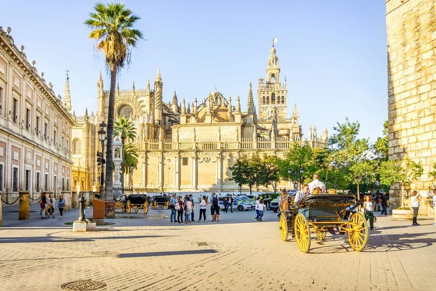From Costa del Sol: Guided Tour of Seville - Barrio de Santa Cruz first, so Seville feels real fast