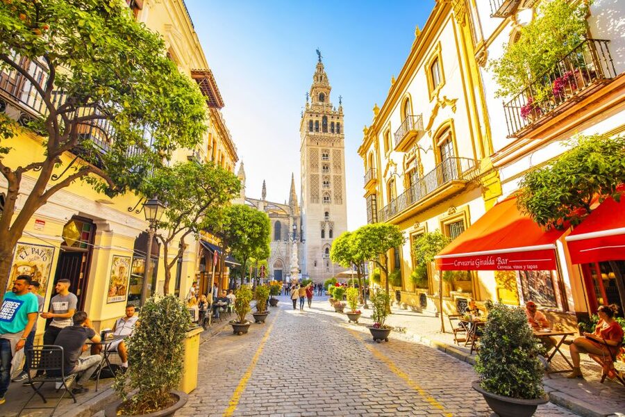 From Costa del Sol: Guided Tour of Seville - Bus transfers from Costa del Sol: comfort and clarity matter