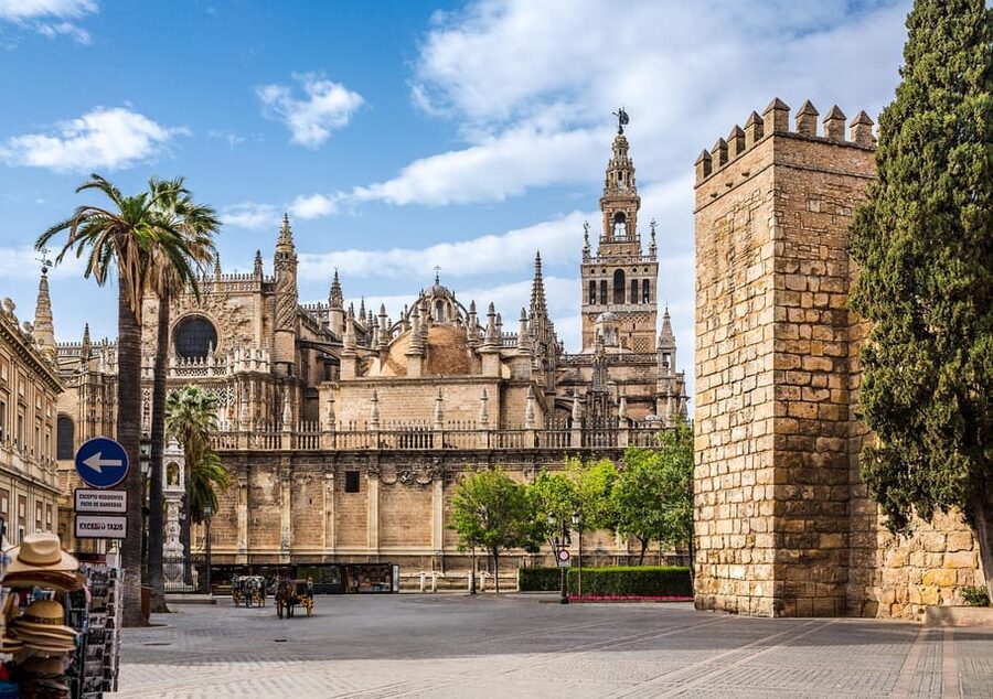 From Costa del Sol: Guided Tour of Seville - Who this tour suits best, and who should look twice