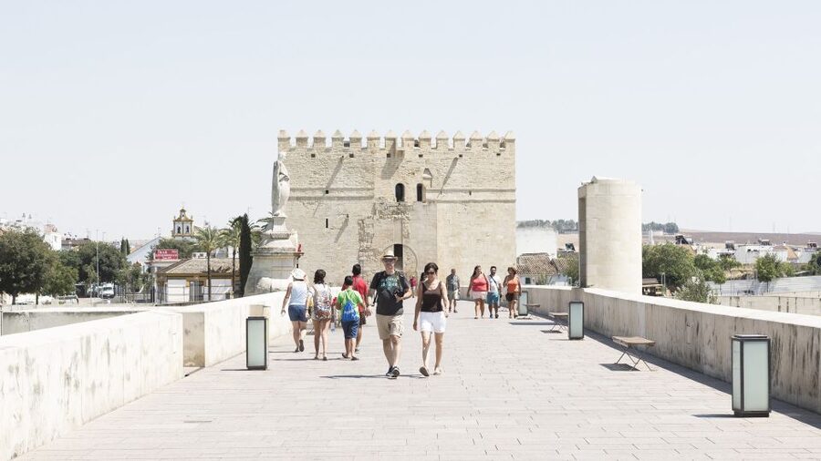 From Costa del Sol & Malaga: Cordoba Guided Day Tour - Key highlights worth your attention