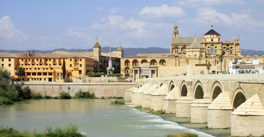 From Costa del Sol & Malaga: Cordoba Guided Day Tour - Logistics that can affect your mood (pickup timing, rain, and group flow)
