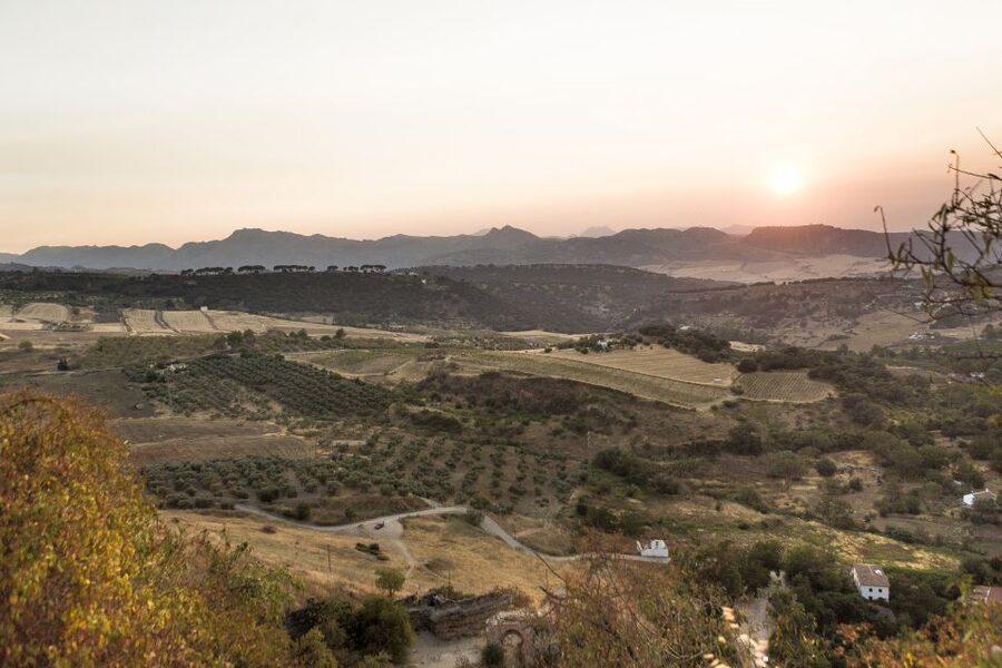 From Costa del Sol: Ronda Village Tour w/ Maestranza Ticket - Key takeaways