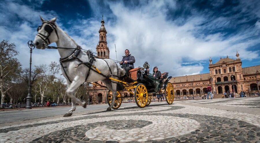 From Costa del Sol: Seville and Royal Alcázar Palace - Seville Cathedral and Giralda: scale, spirit, and Columbus’s tomb