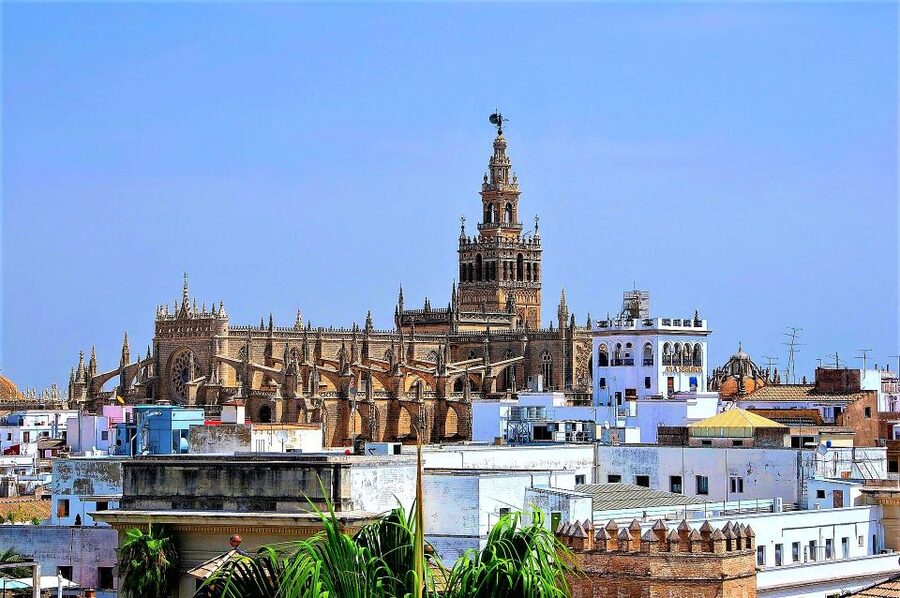 From Costa del Sol: Seville and Royal Alcázar Palace - Which kind of traveler will love this tour