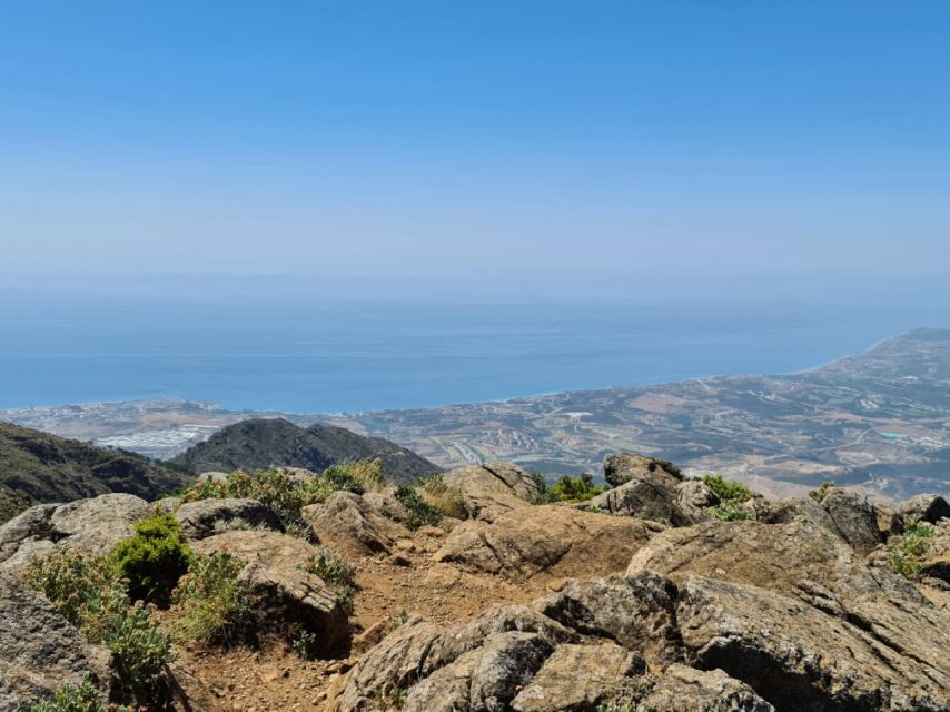 From Costa del Sol: Sierra Bermeja Private Hiking Tour - Key highlights worth penciling in