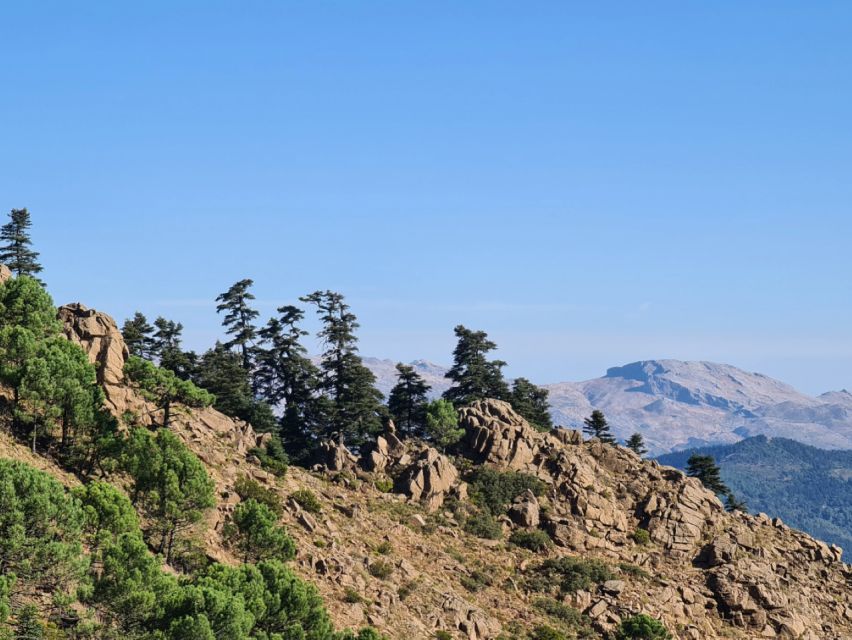 From Costa del Sol: Sierra Bermeja Private Hiking Tour - What about the group size and pace?