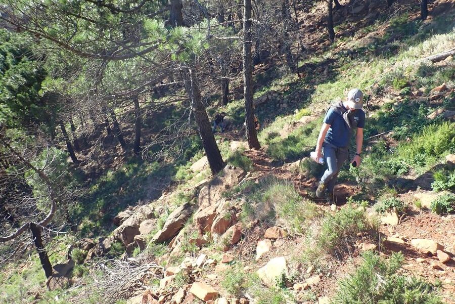 From Costa del Sol: Sierra Bermeja Private Hiking Tour - Booking value: what you get for $79 per person