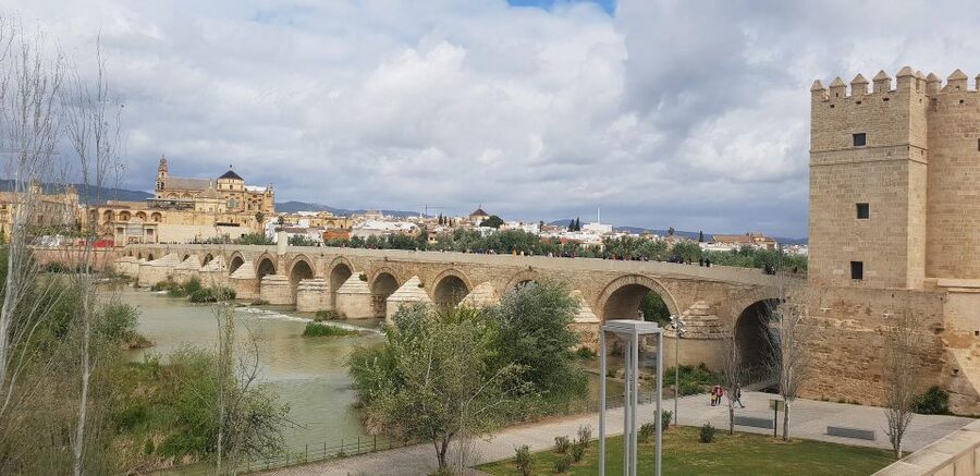 From Malaga and Costa Del Sol: Cordoba Day Trip - On the coach: the guide’s role before you even arrive