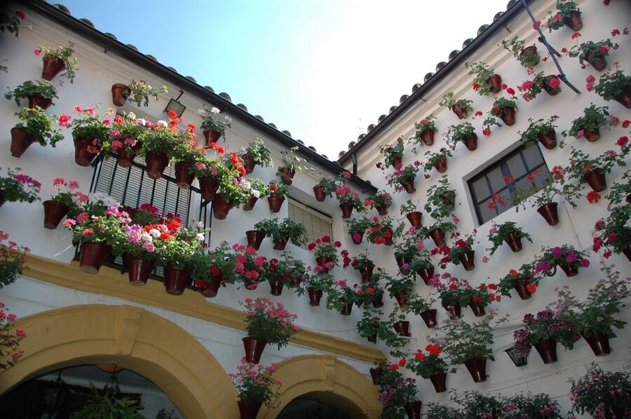 From Malaga and Costa Del Sol: Cordoba Day Trip - Mosque-Cathedral and Patio de los Naranjos: time it right