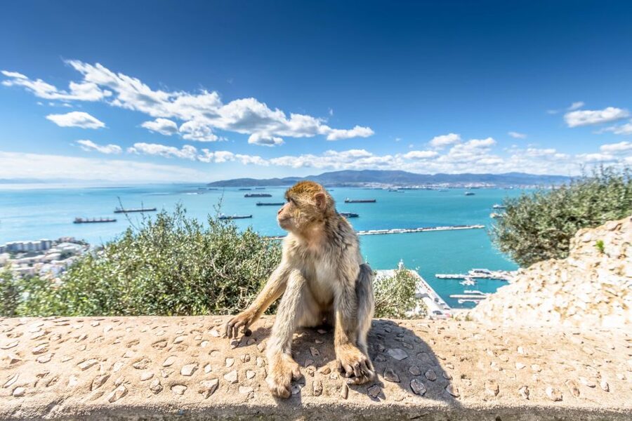 From Malaga and Costa del Sol: Gibraltar Sightseeing Tour - Coach pickup and the border, why your day starts early