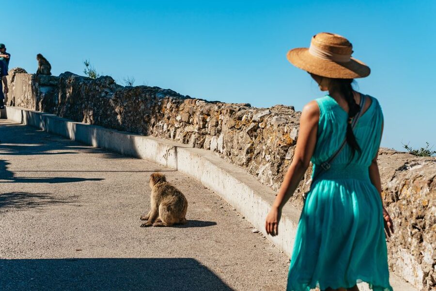 From Malaga and Costa del Sol: Gibraltar Tour - The border rule that can make or break your day