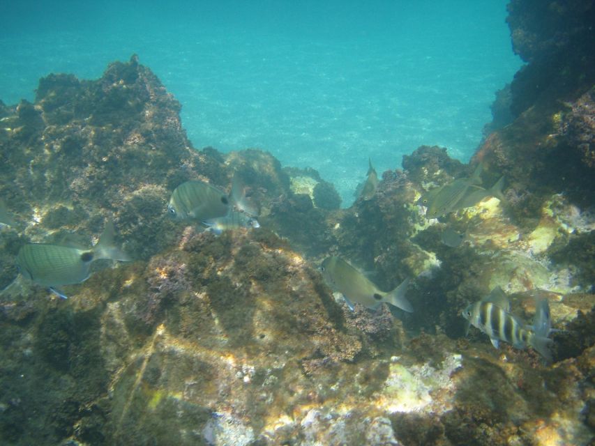 From Malaga: Cliffs of Maro Hike w/ Beach Visit & Snorkeling - The hike itself: beautiful views, narrow paths, real steps