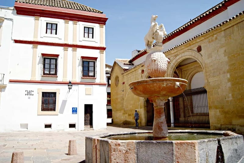 From Málaga: Córdoba Mosque Guided Tour - The Drive Experience: Comfortable Ride, Safety, and Tips en Route