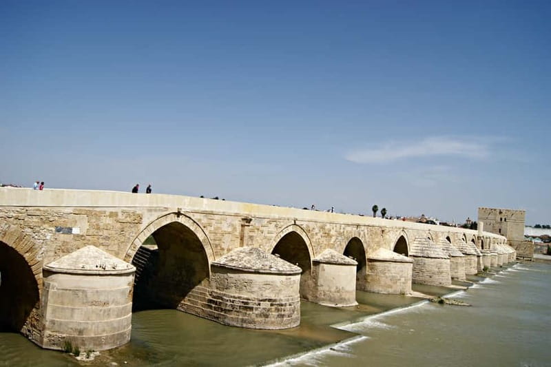 From Málaga: Córdoba Mosque Guided Tour - Mosque-Cathedral Time Plus Free Time: How to Use Your Remaining Hours