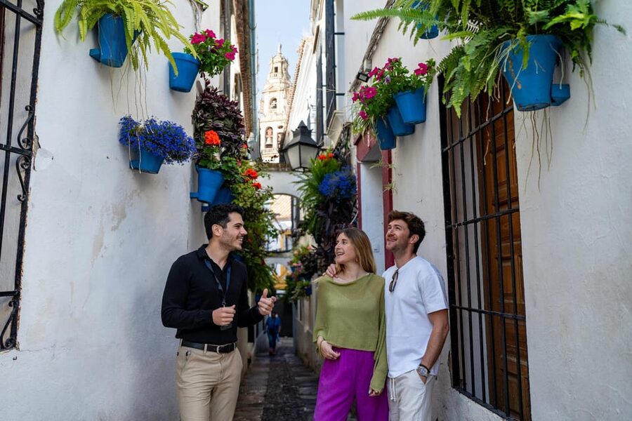 From Málaga: Day trip to Córdoba - Premium Small Group Tour - Practicalities That Can Make or Break the Day