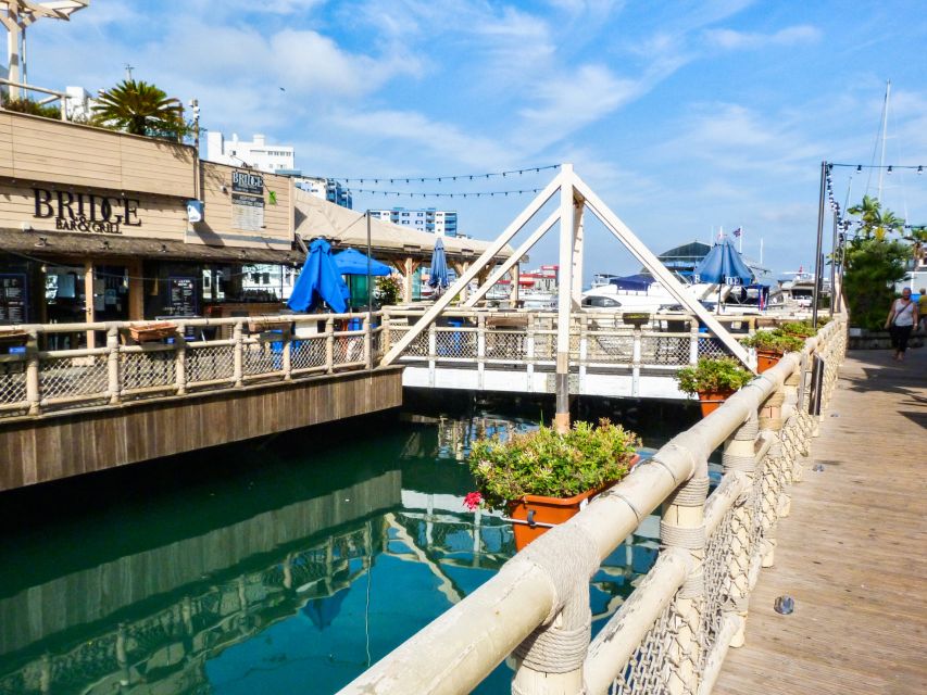 From Malaga: Day trip to Gibraltar and Dolphin Boat Tour - After the boat: lunch and your second chance to enjoy Gibraltar