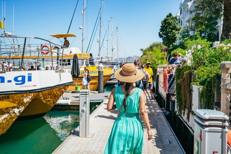From Malaga: Day trip to Gibraltar and Dolphin Boat Tour - Price and value: what $73 gives you, and what it does not