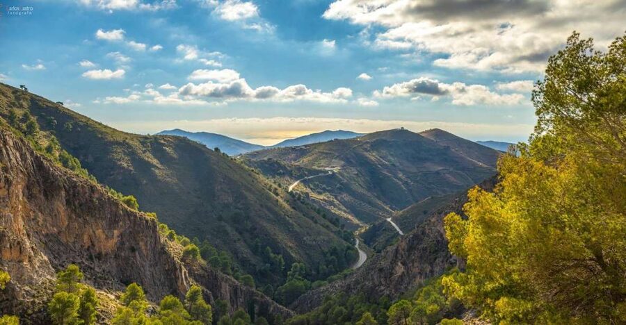 From Málaga: El Saltillo Gorge and White Village Hiking Tour - Olive groves and park education you can actually use