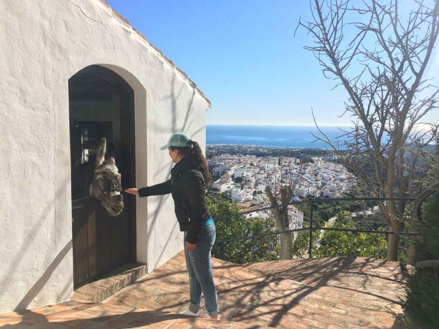 From Málaga: Frigiliana Hiking Tour with Wine & Appetizers - From Málaga to Frigiliana: what a 5.5-hour hike feels like