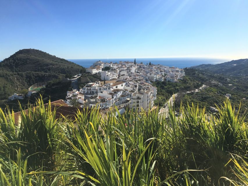 From Málaga: Frigiliana Hiking Tour with Wine & Appetizers - Frigiliana village time: views, streets, and why it ends here