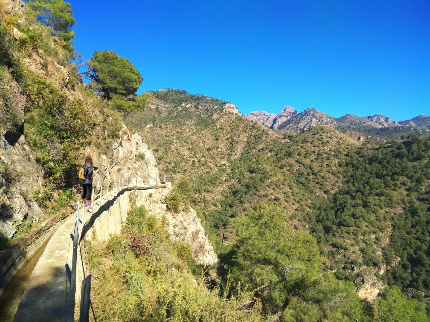 From Málaga: Frigiliana Hiking Tour with Wine & Appetizers - Who should book this hike, and who should skip it