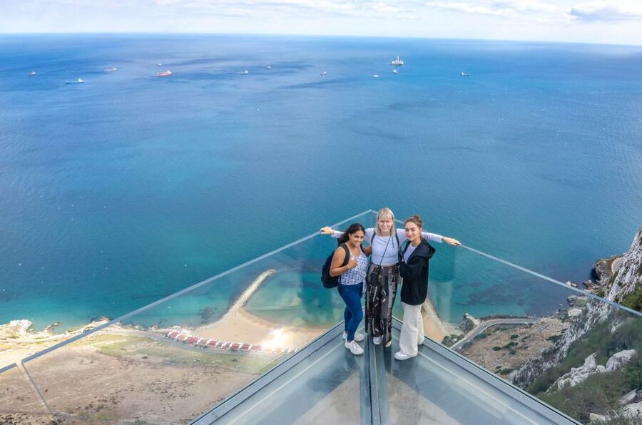 From Malaga: Full-Day Trip to Gibraltar - Up the Rock of Gibraltar: your choices and what each one means