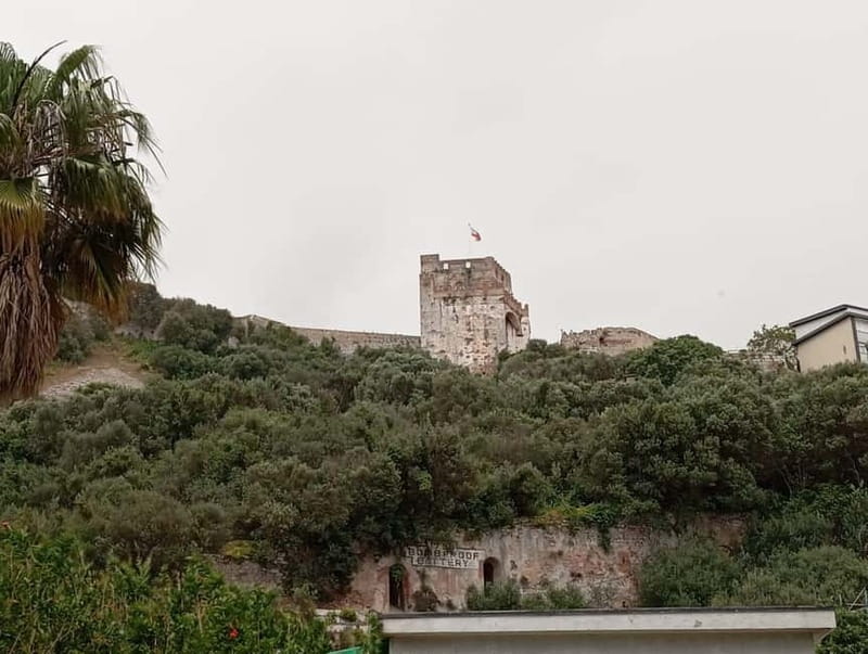From Málaga: Gibraltar Day Trip - What you can do in town: duty-free shopping and easy wandering