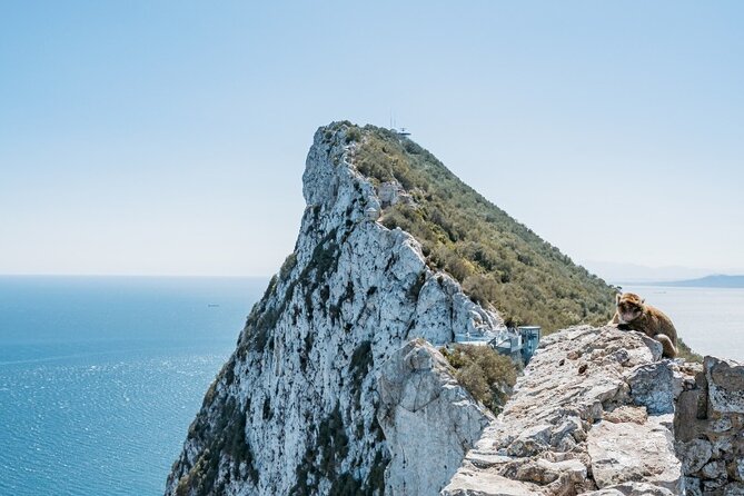 From Malaga, Gibraltar excursion with transport - Key points to know before you go