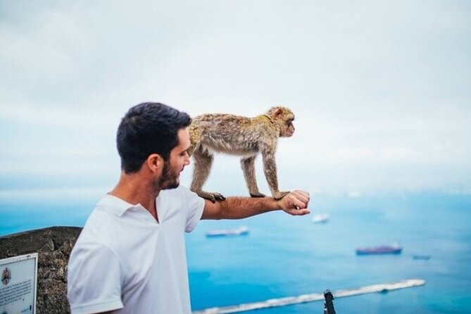 From Malaga, Gibraltar excursion with transport - Price and logistics: what $39.61 really covers