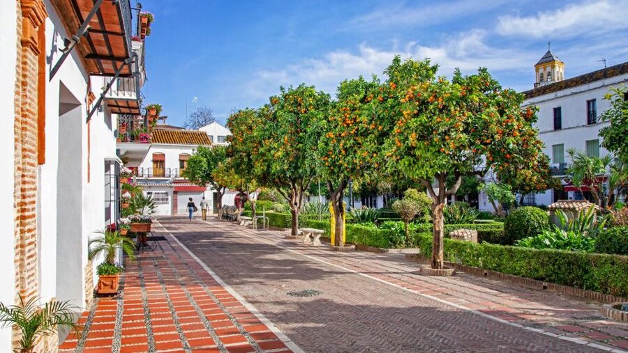 From Malaga or Costa del Sol: Mijas, Marbella & Puerto Banus - Puerto Banús Marina Free Time: Supercars, High-End Shops, and Strolling