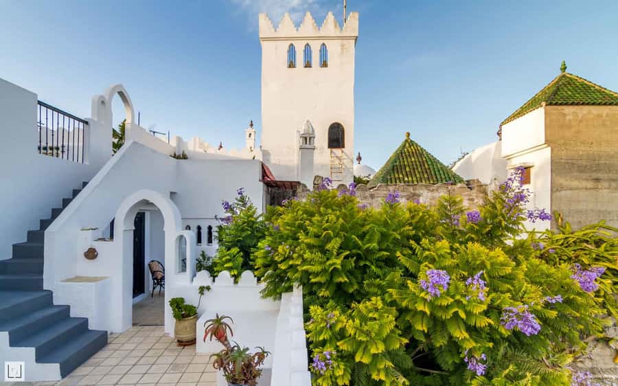 From Malaga or Tarifa: Private Tangier Day Tour - Medina souk time: spices, dried fruit, and the jewelers’ street
