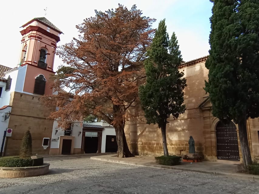 From Malaga: private tour Ronda and Setenil de las Bodegas - Languages, Guides, and How the Day Feels on the Ground