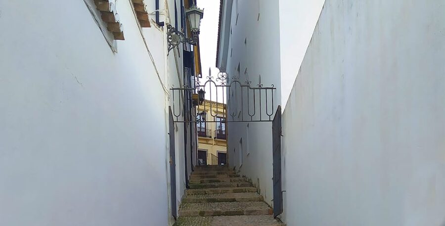 From Malaga: Ronda and Setenil Tour with Scenic Train - Who Should Book This Tour, and Who Might Want to Skip It
