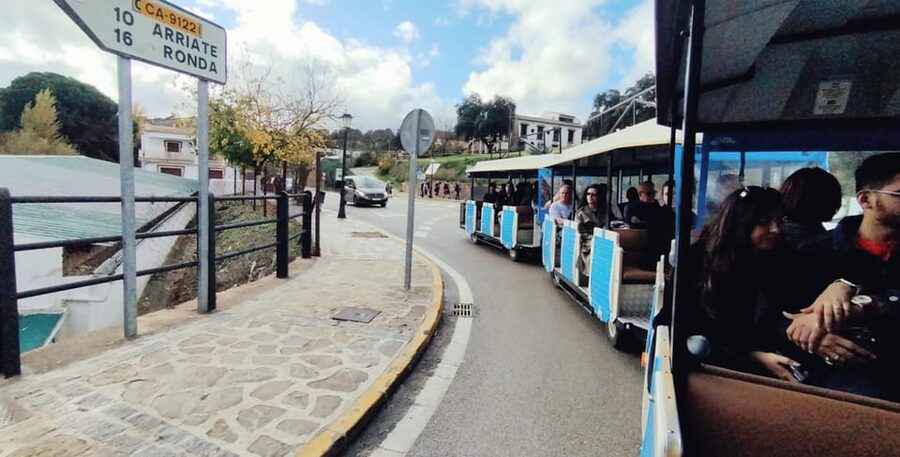 From Malaga: Ronda and Setenil Tour with Scenic Train - Ronda’s Cliff Edges: Puente Nuevo, Old Streets, and the Guided-Optional Choice