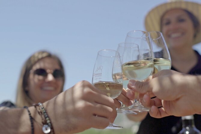 From Malaga: Ronda, Wine & Olive Oil Tasting Premium Small Group - Free time in Ronda: lunch breaks that are actually useful