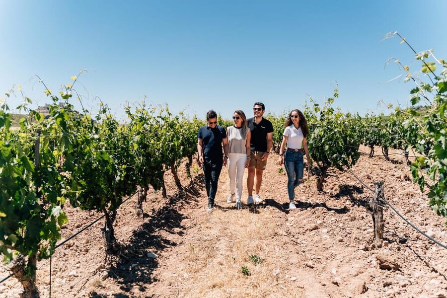 From Málaga: Ronda, Wine & Olive Oil Tasting Small Group - Málaga to Ronda, wine, and olive oil: what this day trip really delivers