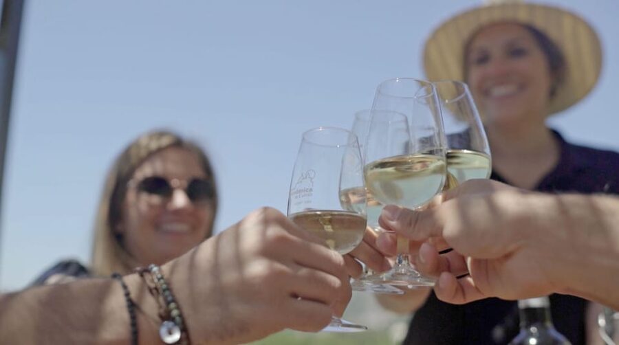 From Málaga: Ronda, Wine & Olive Oil Tasting Small Group - Getting to Ronda: the drive rhythm and why it matters