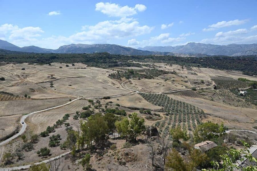 From Malaga: Ronda y Setenil de la Bodegas Day Trip by coach - A 9-hour coach day that pairs gorge drama with rock-baked villages