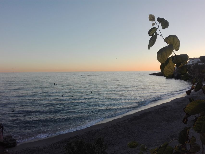 From Málaga: Skip-the-Line Nerja Cave and Frigiliana - Who this tour suits best (and who should pass)