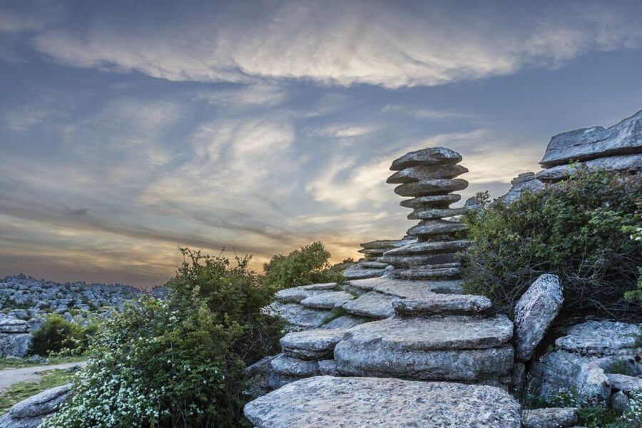 From Malaga: Torcal de Antequera Hiking Tour - Wildlife spotting: griffon vultures, wild goats, reptiles, and foxes