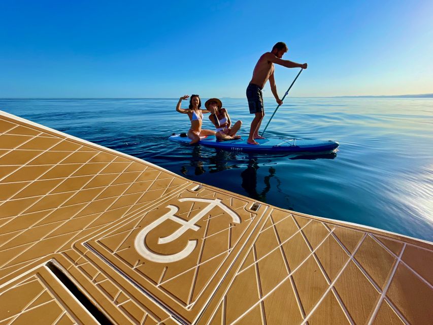 From Marbella: Private and Group Sailboat Cruise & Drinks - Dolphins on the horizon: what to do when sightings happen