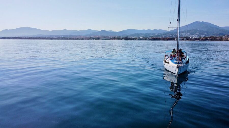 From Marbella: Private and Group Sailboat Cruise & Drinks - The Magic Eagle raptors program: why this cruise has a purpose