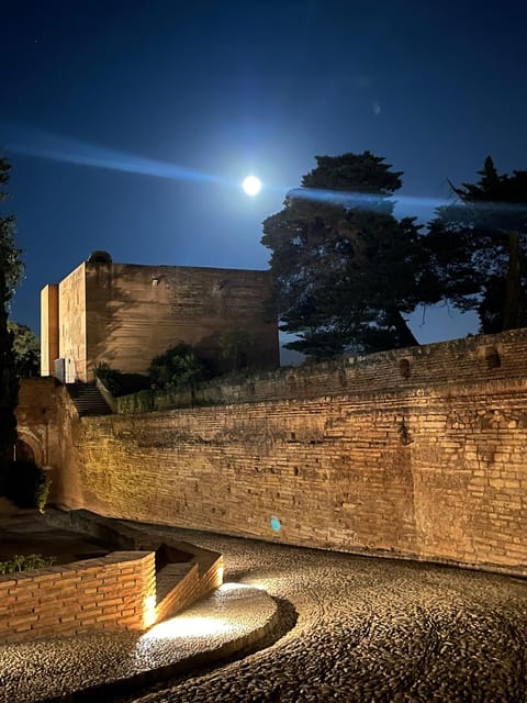 From Nerja/Almunecar: Granada Full-Day Trip - Who this Granada trip suits best (and who might want something else)