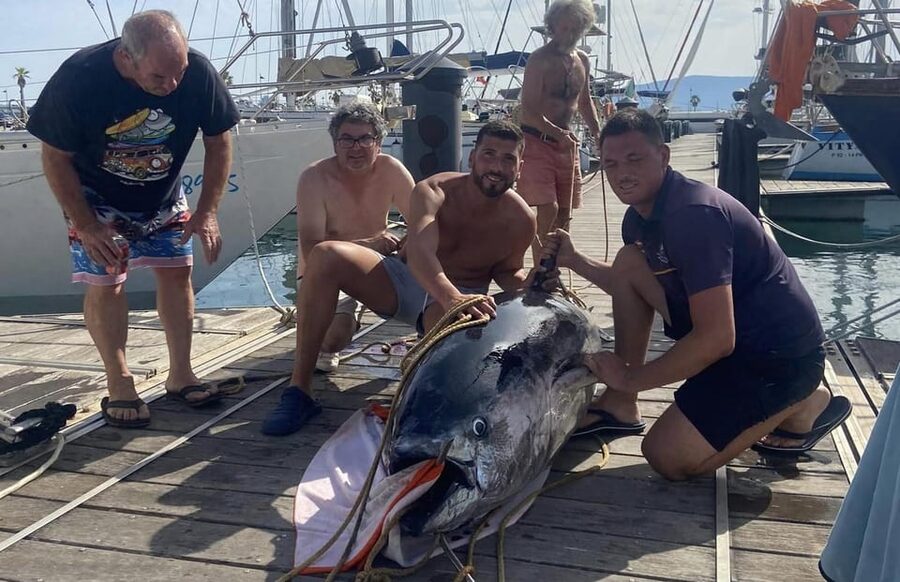 Fuengirola: 4h Trolling Fishing Trip with Snacks and Drinks - Key highlights you will care about