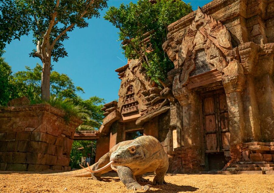 Fuengirola: Bioparc Entrance Ticket - Equatorial Africa and Indo-Pacific: Big Animal Encounters Without the Hassle
