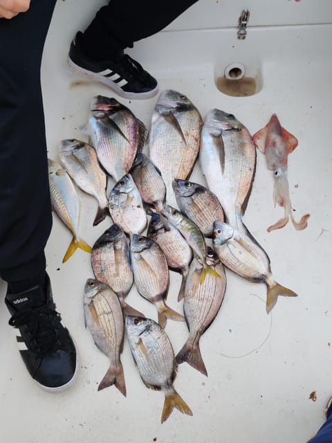 Fuengirola: Bottom Fishing with Jigging and Squid, 2, 4 and 6 hours - Price and Value: What $105 Per Person Gets You